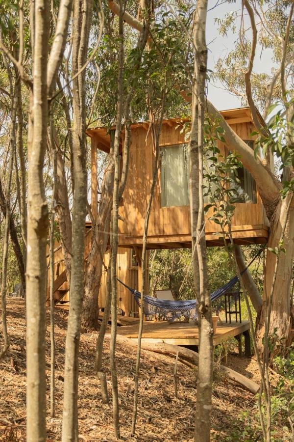 Soul Farm Algarve - Glamping & Farm Houses Aljezur Zewnętrze zdjęcie