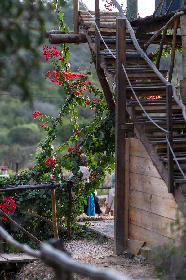 Soul Farm Algarve - Glamping & Farm Houses Aljezur Zewnętrze zdjęcie