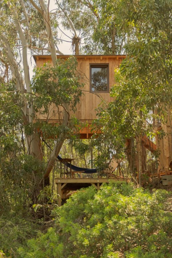 Soul Farm Algarve - Glamping & Farm Houses Aljezur Zewnętrze zdjęcie