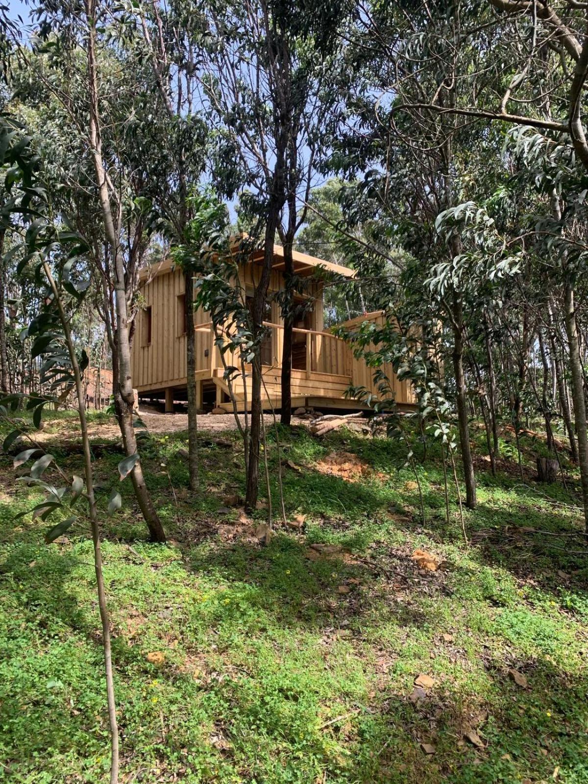 Soul Farm Algarve - Glamping & Farm Houses Aljezur Zewnętrze zdjęcie